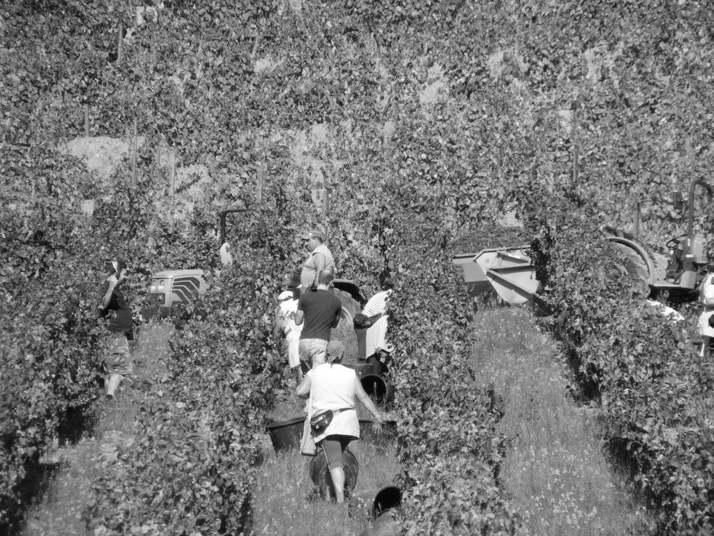 Solar Quinta Da Portela - Douro Vendégház Santa Marta de Penaguião Kültér fotó