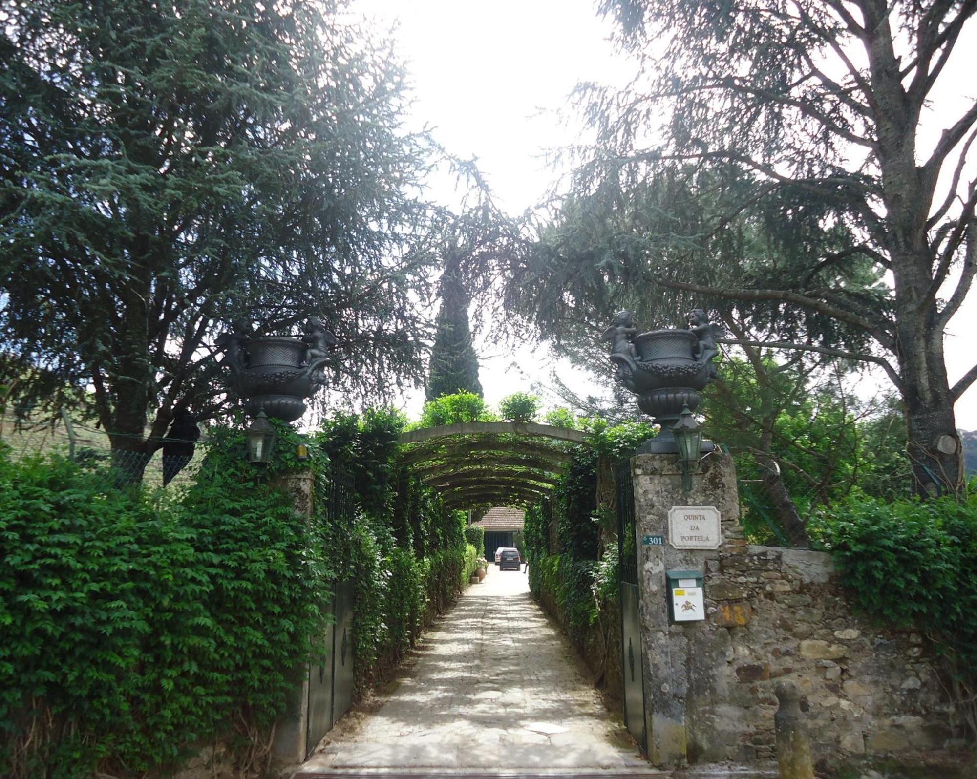 Solar Quinta Da Portela - Douro Vendégház Santa Marta de Penaguião Kültér fotó