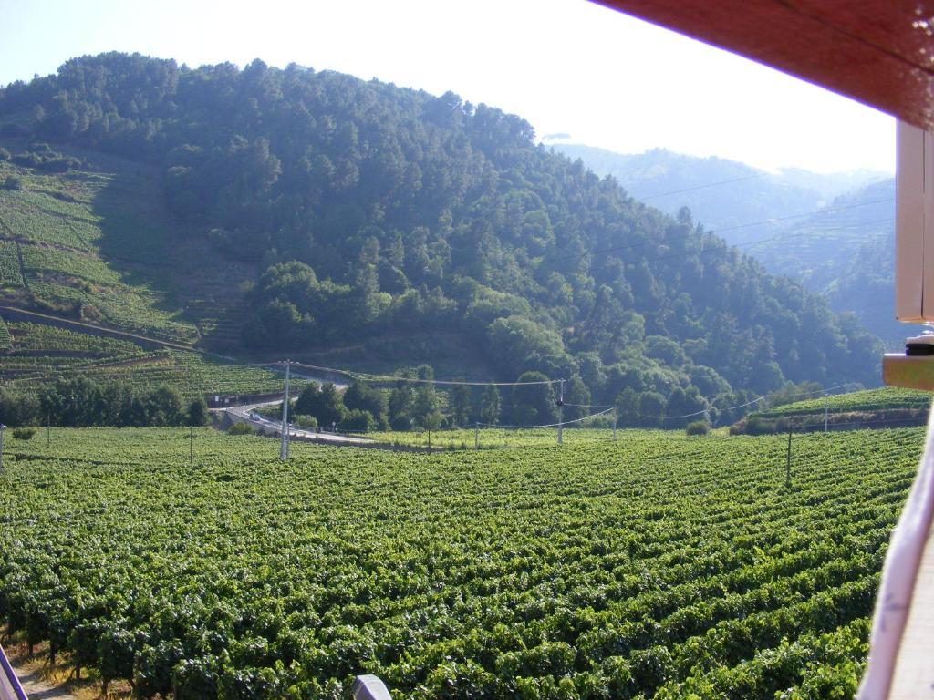 Solar Quinta Da Portela - Douro Vendégház Santa Marta de Penaguião Szoba fotó