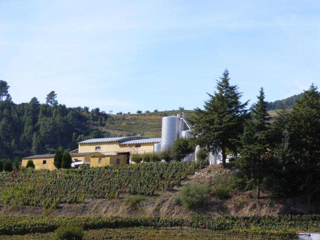 Solar Quinta Da Portela - Douro Vendégház Santa Marta de Penaguião Kültér fotó