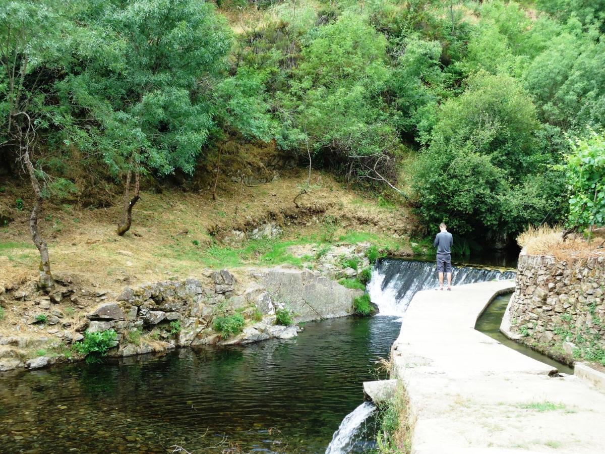 Solar Quinta Da Portela - Douro Vendégház Santa Marta de Penaguião Kültér fotó