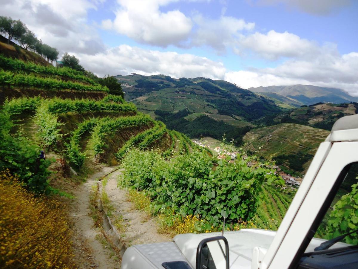 Solar Quinta Da Portela - Douro Vendégház Santa Marta de Penaguião Kültér fotó